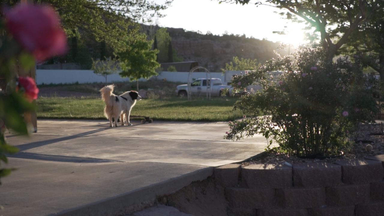 Zion'S Blue Sage Bed & Breakfast Hildale Екстер'єр фото